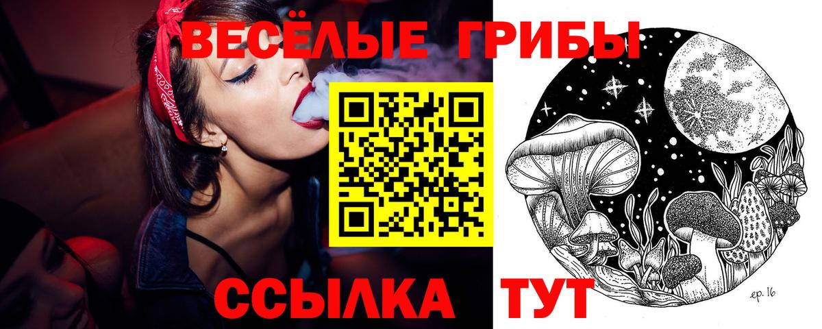 Псилоцибиновые грибы Psilocybe  Галлюциногенные грибы Psilocybe  Гуково  Вход с VPN 